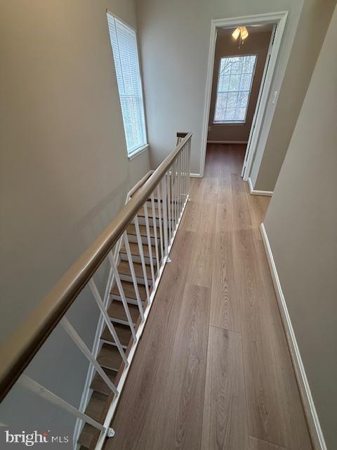 Building Photo - 7814 Solomon Seal Dr