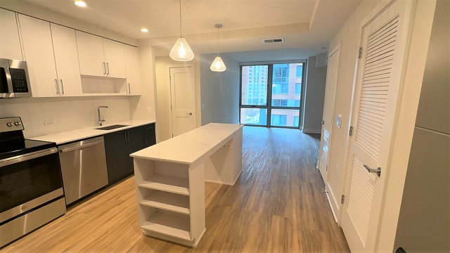 Kitchen & Living Area Apartment 513, S-1 Floor Plan - Meridian 2250 at Eisenhower Station