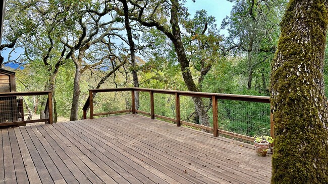 Building Photo - Beautiful 3bd/3ba Home With Vineyard Views!