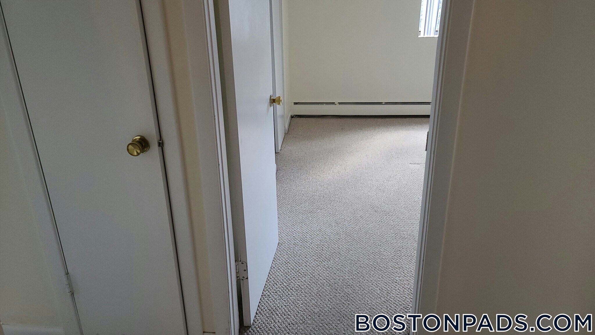 Building Photo - 24 Whites Ave