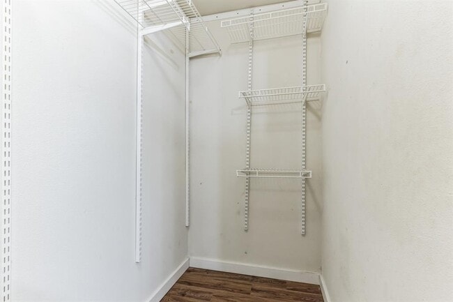 Building Photo - 313 Caladium Dr