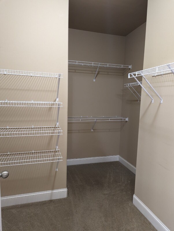 Building Photo - 426 Woodbark Ct