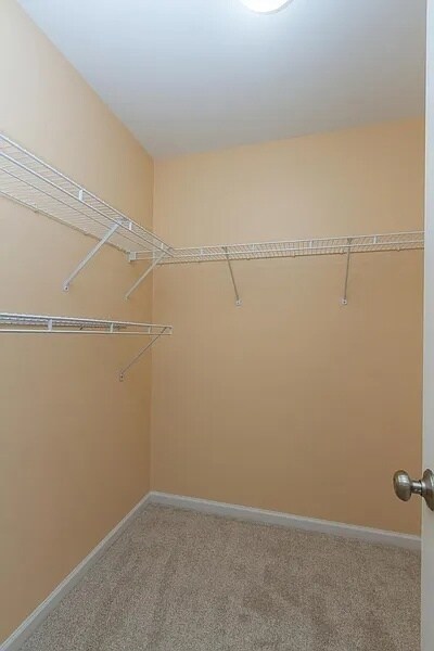 Building Photo - 1953 Fountain Grass Cir