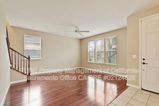 Building Photo - 441 Picasso Cir