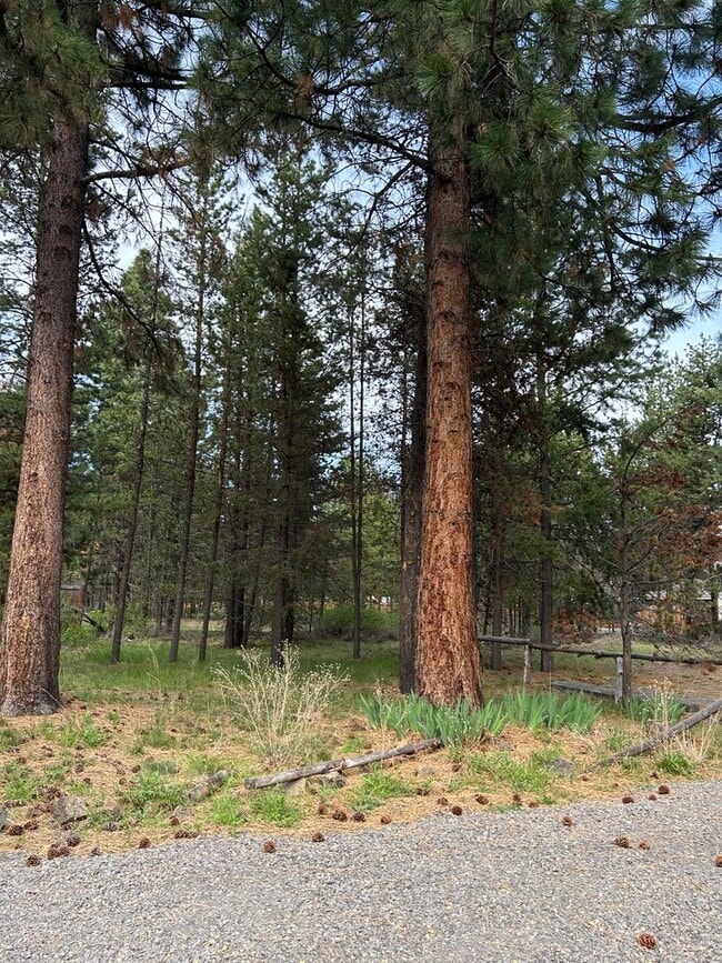 Building Photo - Cozy Cabin Close to Sunriver
