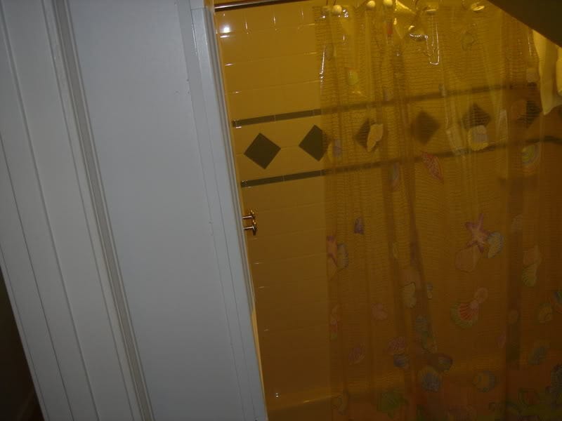 Down stairs bathroom - 908 23rd Ave
