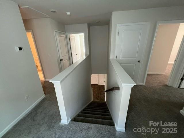 Building Photo - 2118 Allium Dr