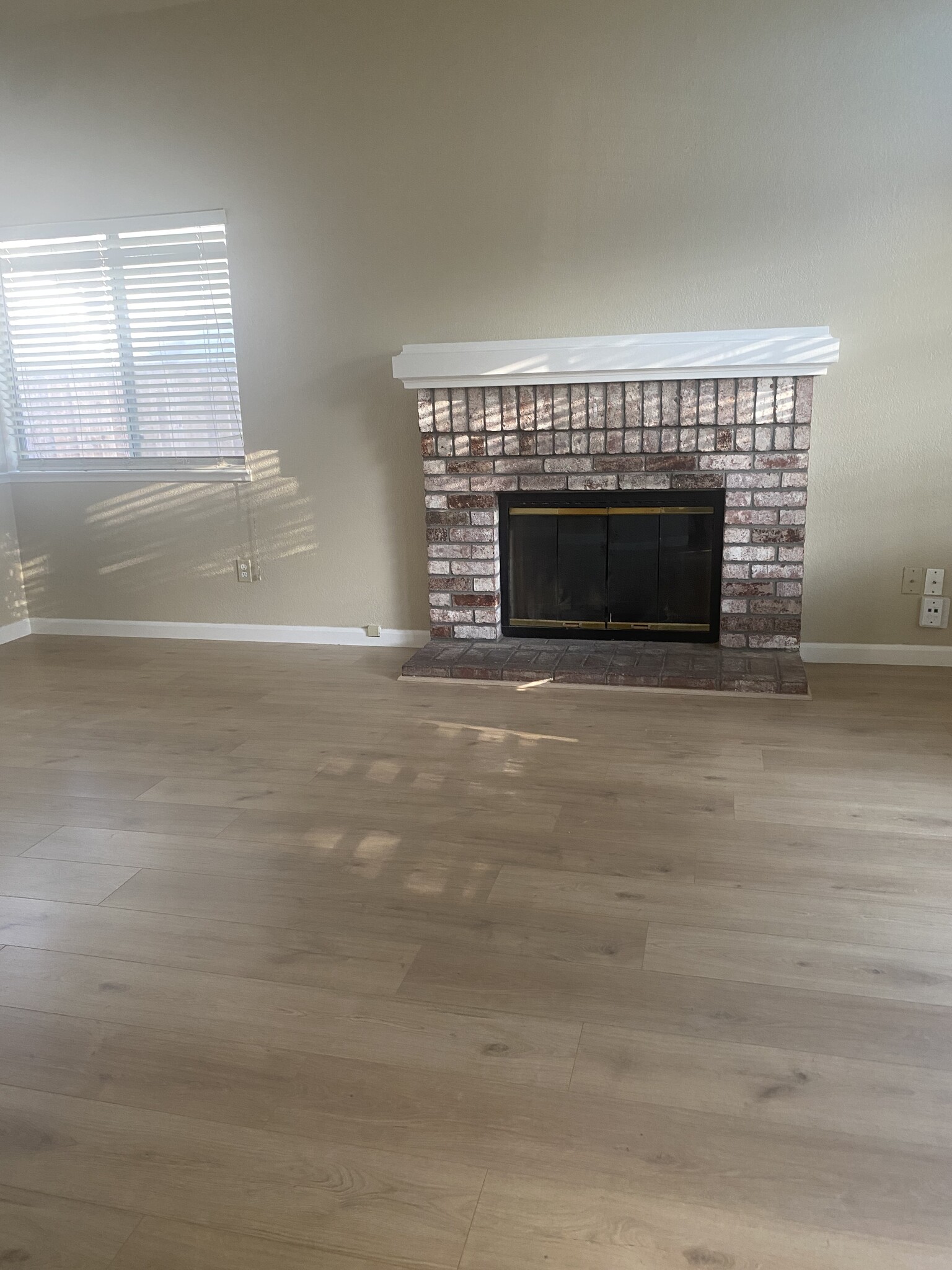 Living Fireplace - 2660 Meadow Brook Ln