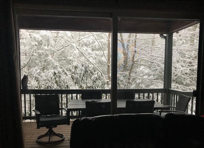 Building Photo - 103 Clary Ct