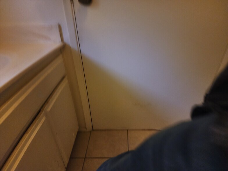 Building Photo - 11307 Miranda St