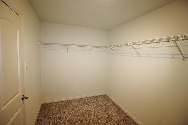 Building Photo - 233 Liberty Ln