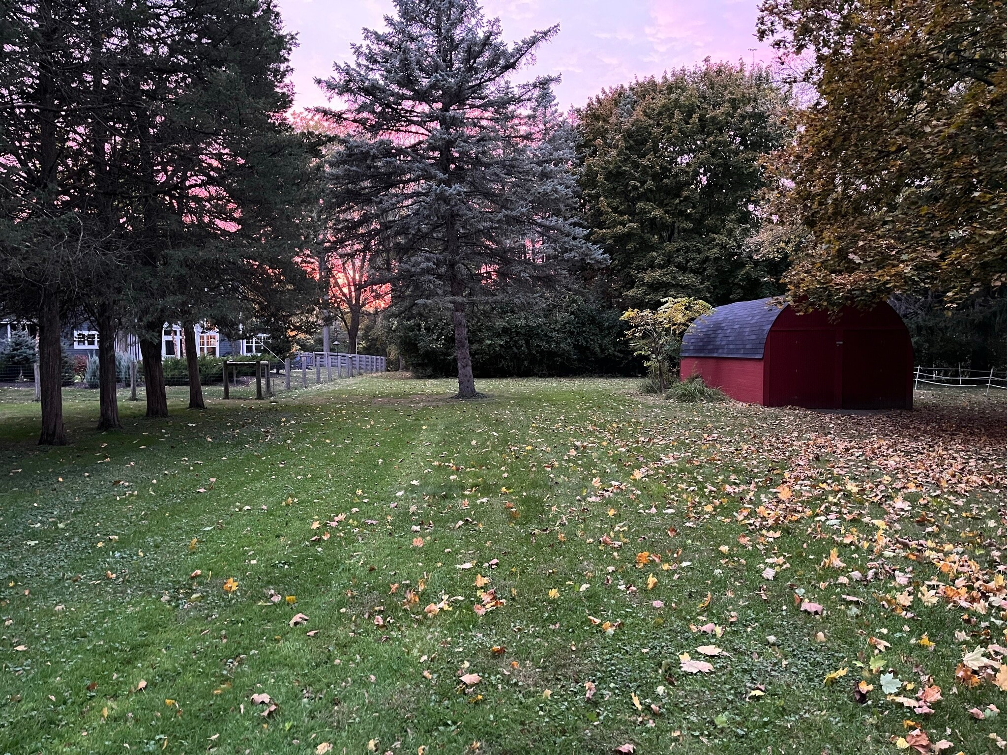 Part of back yard - 1445 N Breezeland Rd