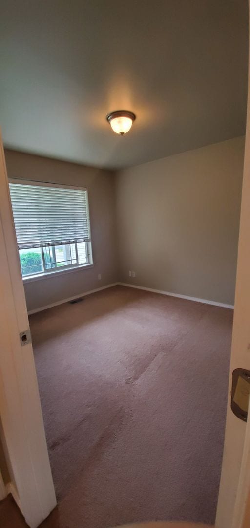 Building Photo - Gorgeous 3 Bedroom 2 Bath Home in Hayden!