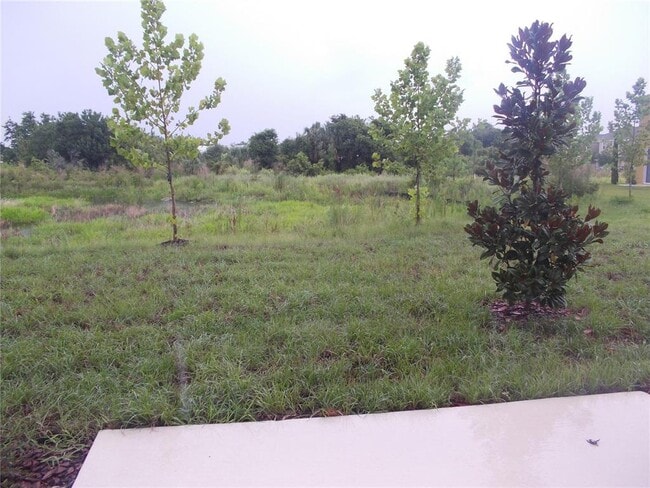 Building Photo - 6915 Woodchase Glen Dr