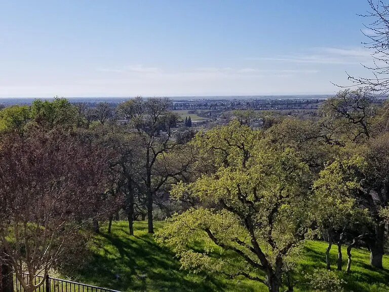 Building Photo - 3004 Fox Hill Dr