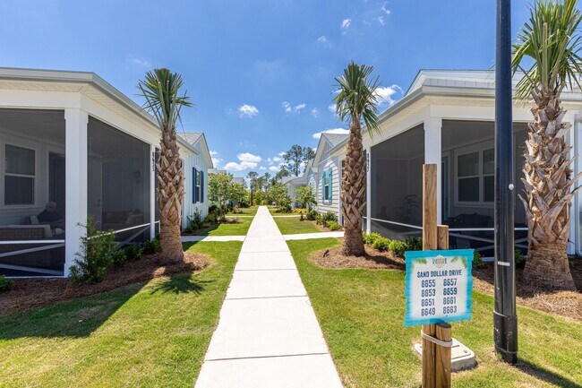 Building Photo - 8651 Sand dollar Dr