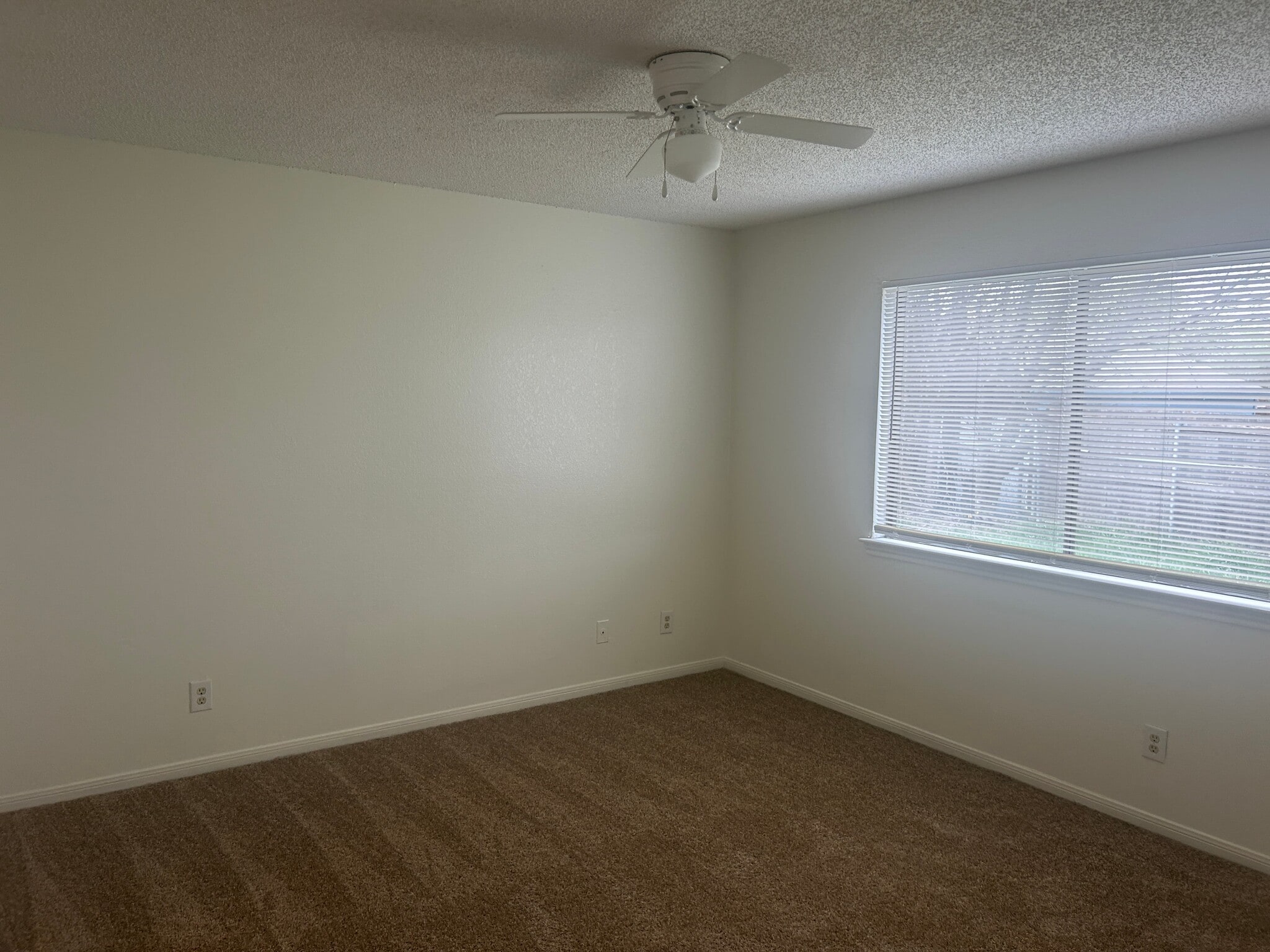 Building Photo - 1611 Mona Dr