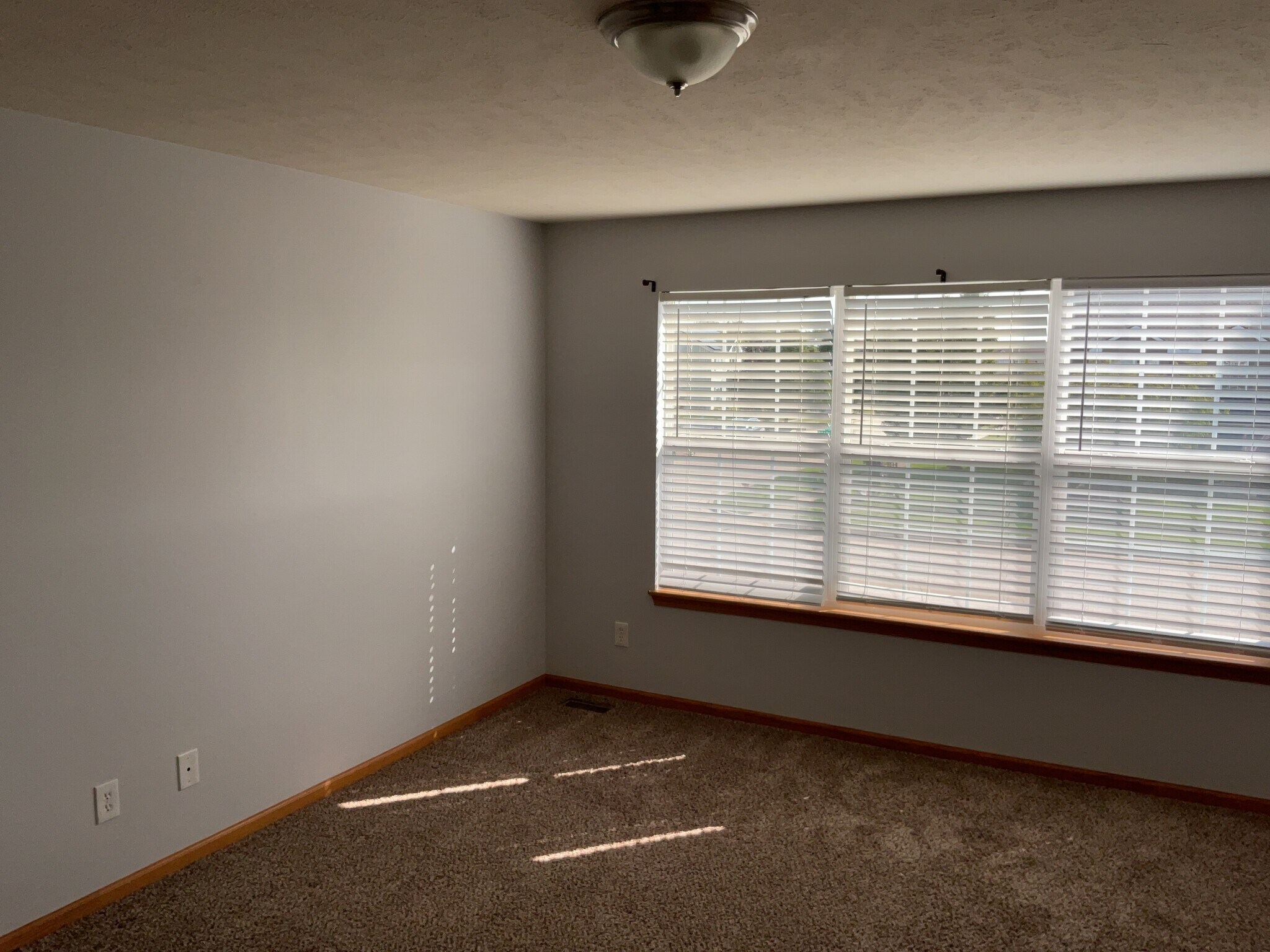 Building Photo - 948 Bradley Ln