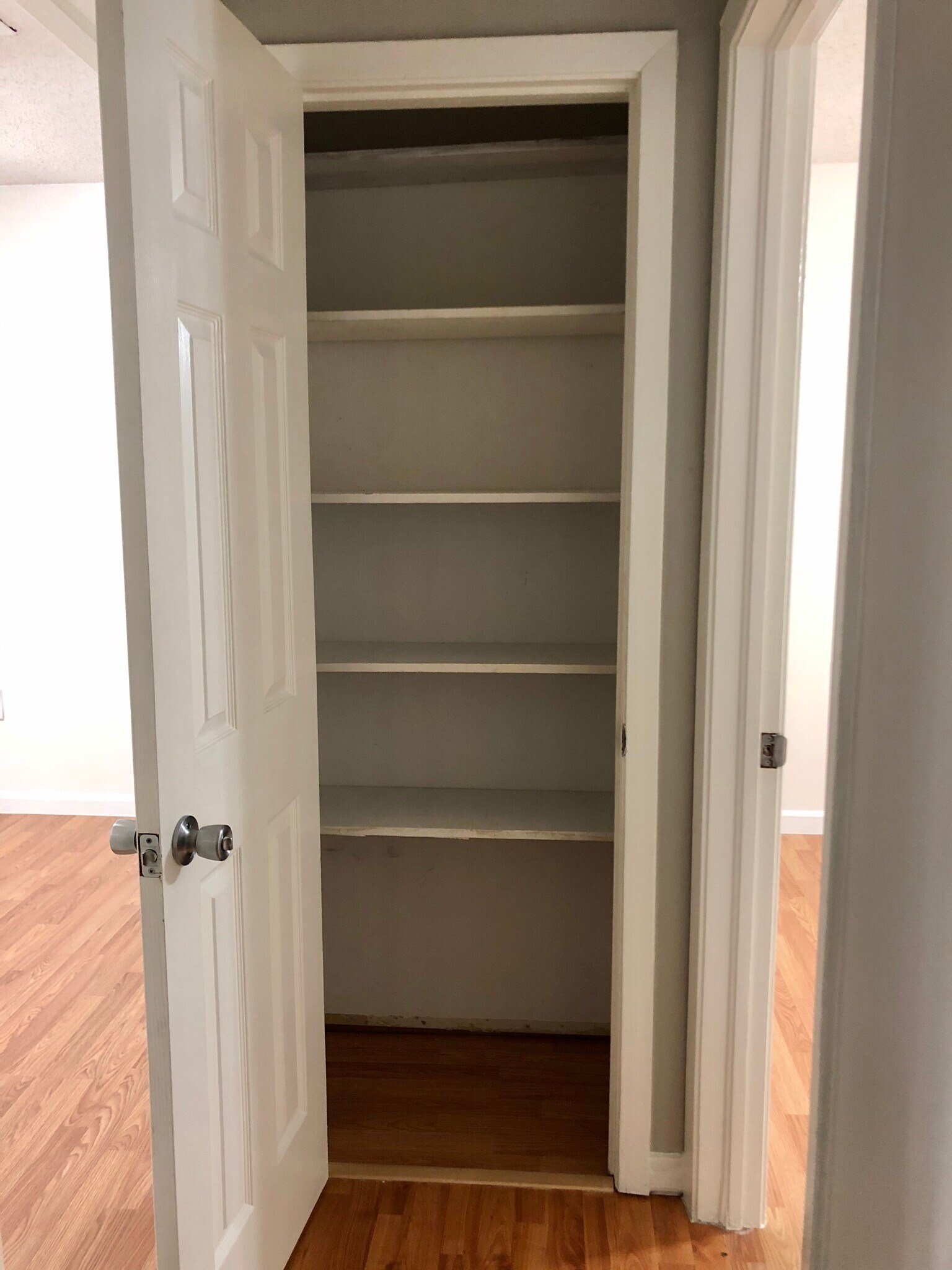 Linen closet in the hallway - 343 Huntington Dr
