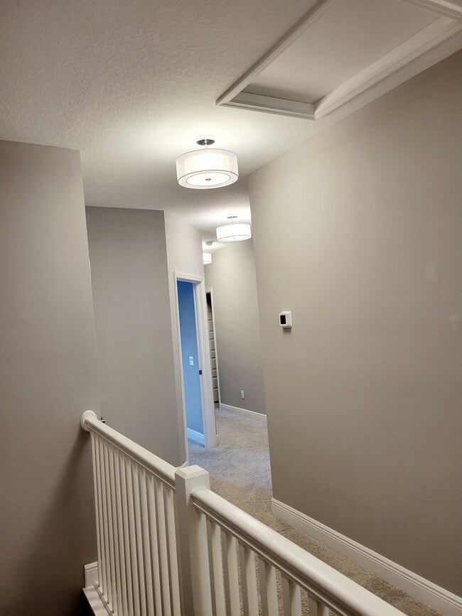 Building Photo - 2482 Foggy Creek Cir