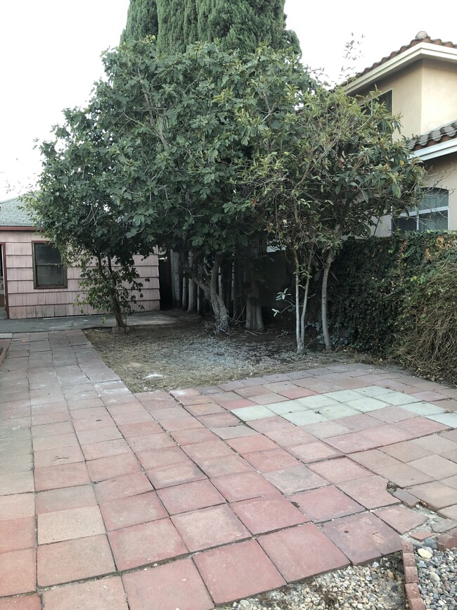 Private yard - 1501 Abbot Ave