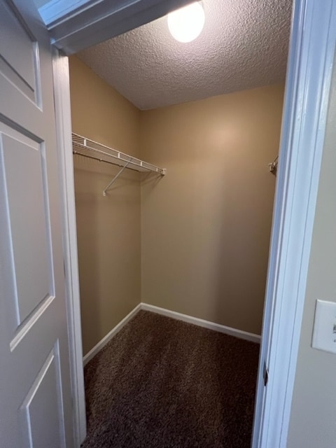 Building Photo - 2624 Guyer St