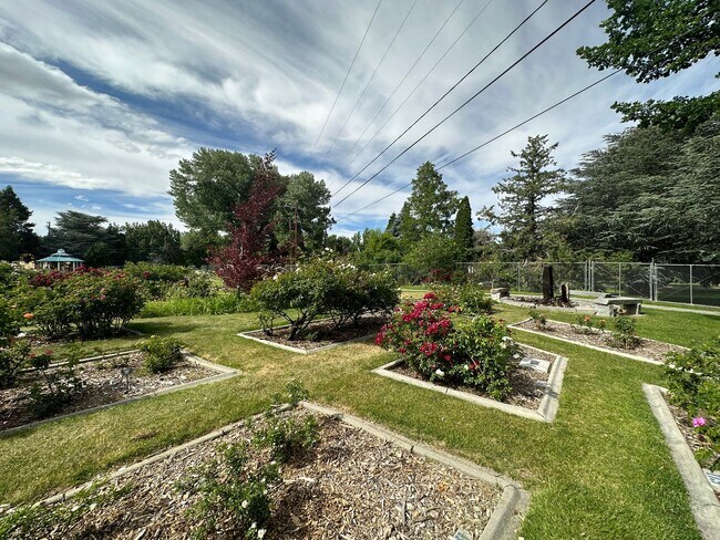 Building Photo - Delightful One-Bedroom + Office Near Idlewild Park