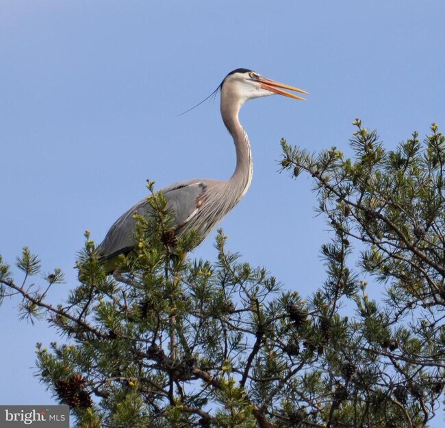Building Photo - 6032 Melbourne Ave