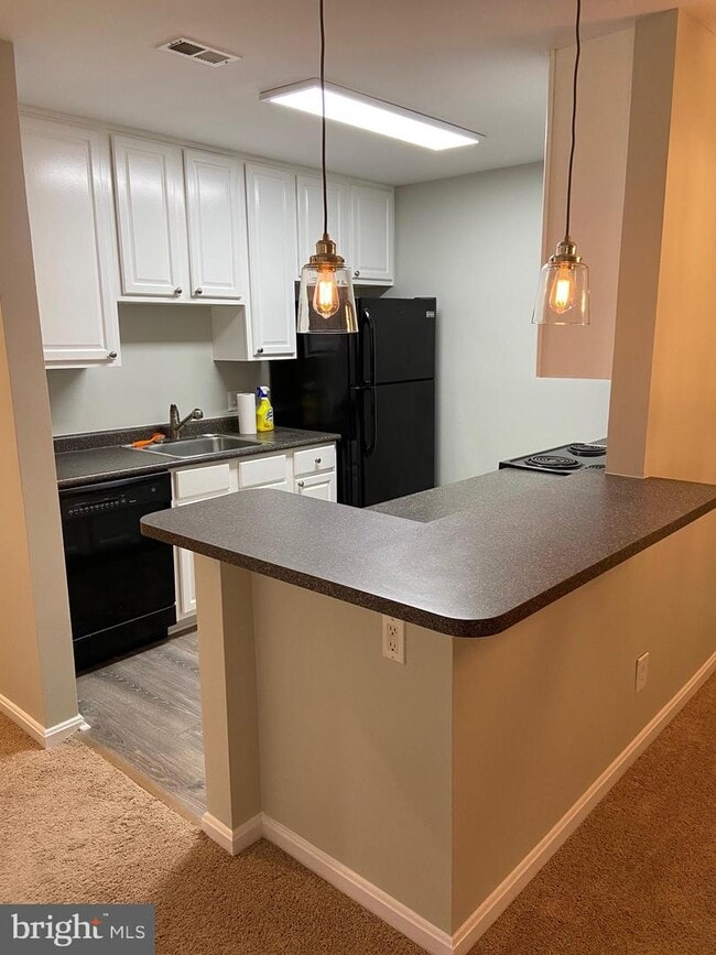 Building Photo - 10303 Appalachian Cir