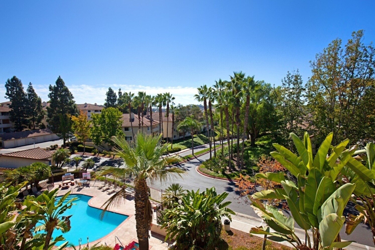 Building Photo - 3504 Paseo De Los Americanos