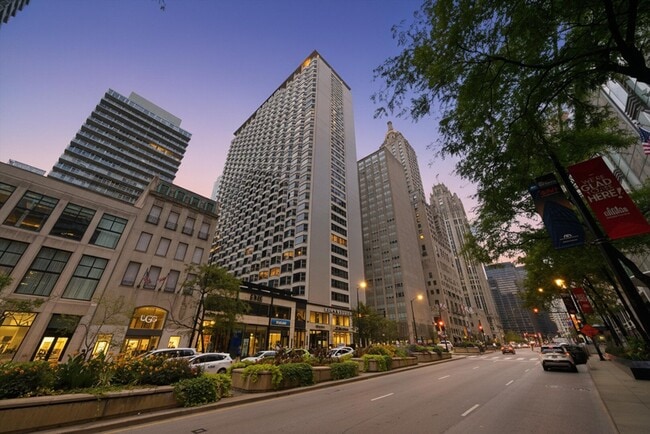 Building Photo - 535 N Michigan Ave
