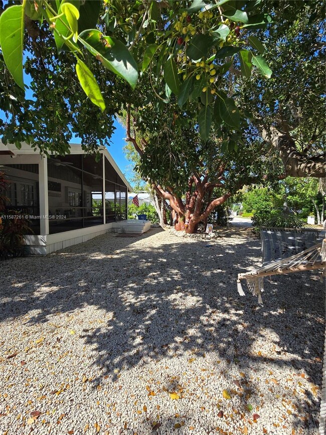 Building Photo - 101 Gumbo Limbo Rd