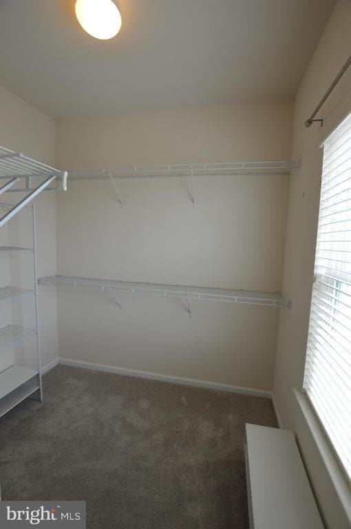 Building Photo - 202 Mill Pond Rd