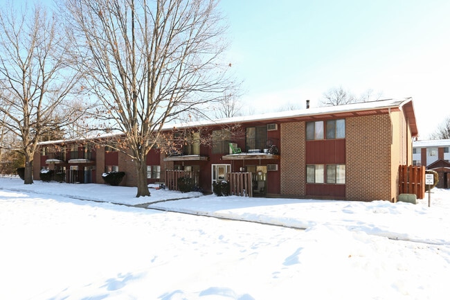 Primary Photo - Shannon Apartments