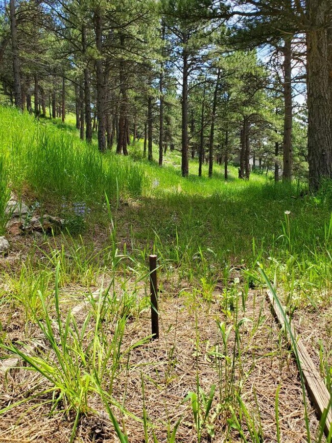 Building Photo - Spacious 4-bedroom + study home; Includes Hot tub and Pool Table - Avail. Now!