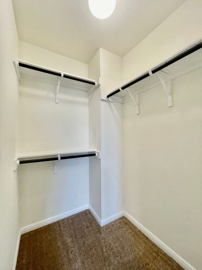 Building Photo - Blanco Vista Charmer