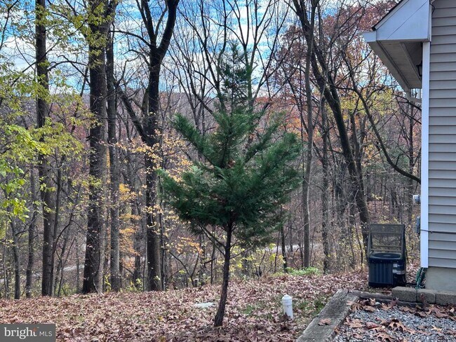 Building Photo - 132 Pinecrest Ln