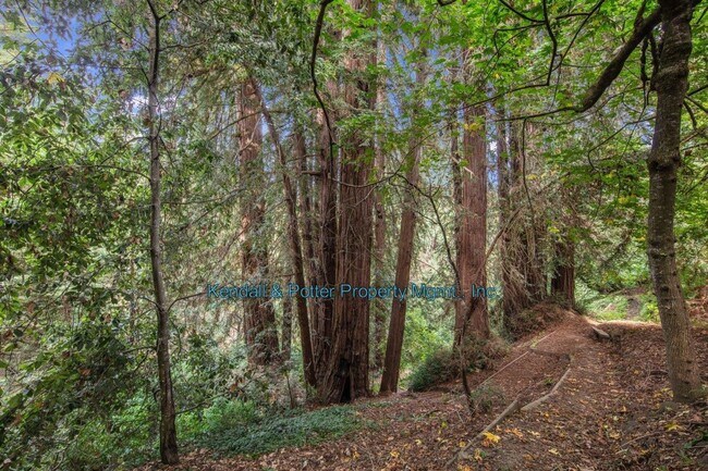 Building Photo - Executive Coastal Living at the Historic P...