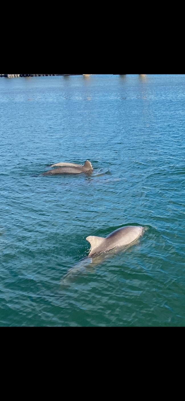 Building Photo - 3536 Belle Vista Dr E