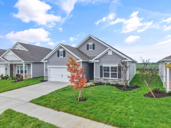 Building Photo - 539 Darliene Dr
