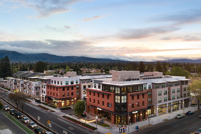 Primary Photo - ARLO Mountain View