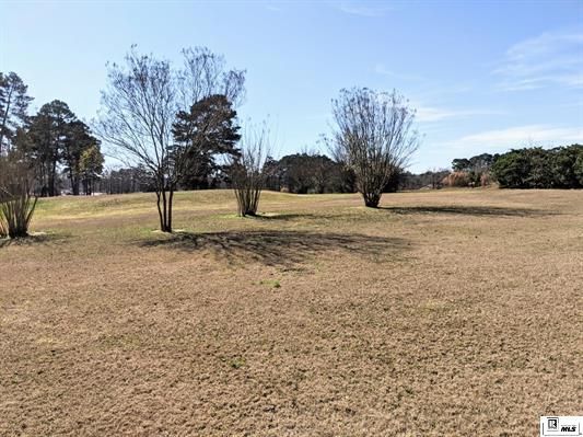 Building Photo - 516 Pine Hills Dr