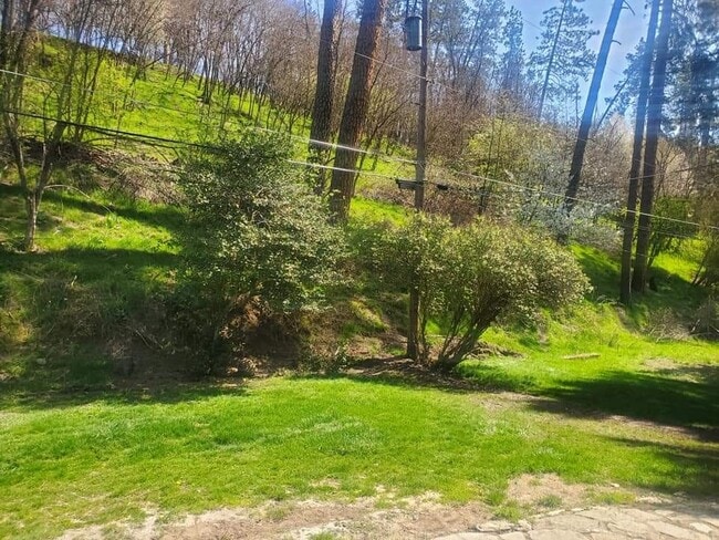 Building Photo - 105 Adams Ct