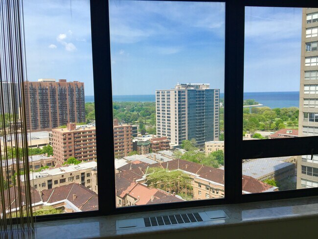 View from living room - 3930 N Pine Grove Ave