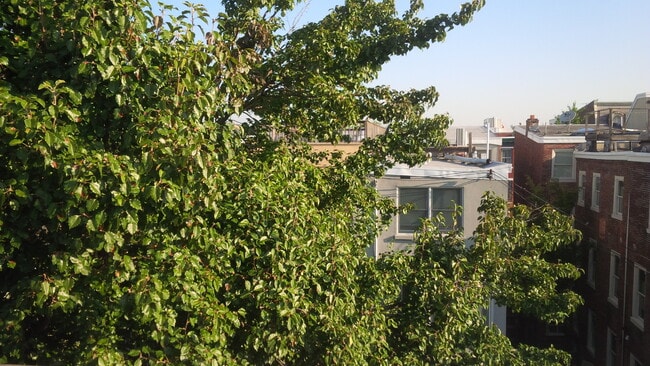 Building Photo - 2014 Mount Vernon St