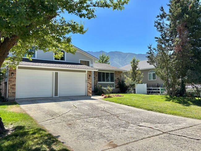 Building Photo - Mountain Views at Meadow Cove on 1/4 Acre ...
