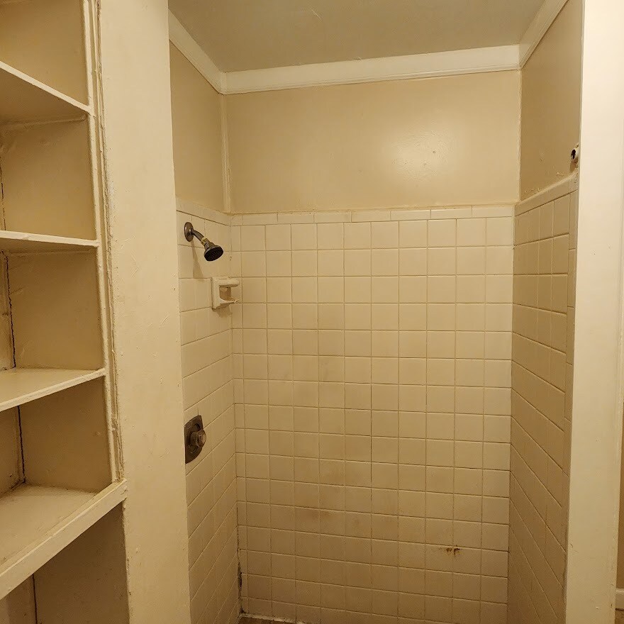 Building Photo - 218 Bingham St