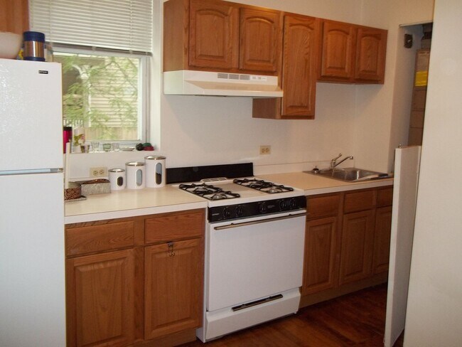 Building Photo - Beautiful 1 Bed Apartment in North Center/ Ravenswood Area Available September 1st