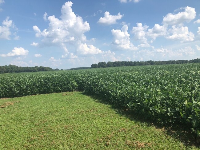 Building Photo - 2 BR, 2 BA Singlewide in Great Location in Pikeville!