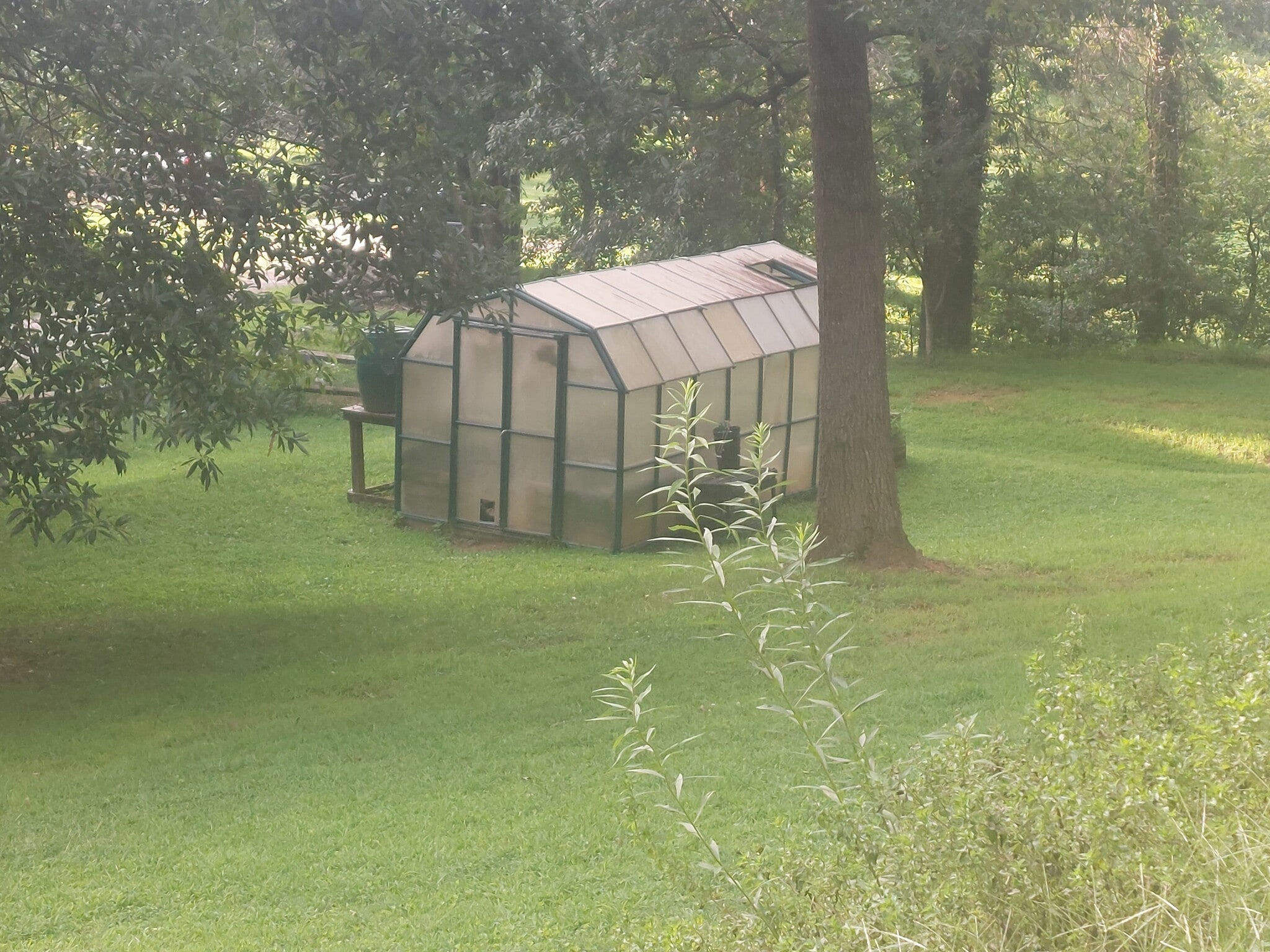 Greenhouse on property - 33 Hoyt Rd